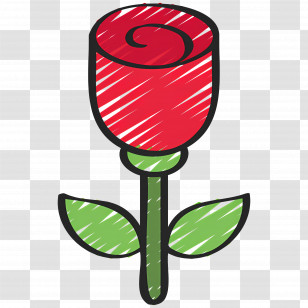 Rose Flower - Red Rose Sketch Drawing Transparent PNG