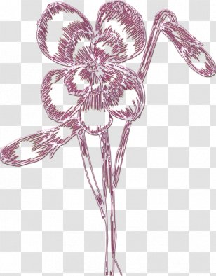 Cut Flowers Drawing Visual Arts Floral Design Transparent PNG