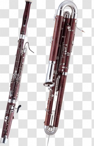 Bassoon Musical Instruments Oboe Woodwind Instrument Cor Anglais - Tree - Dictionary Transparent PNG