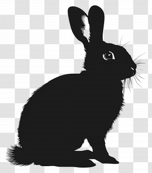 Rabbit Silhouette - Rabbit Silhouette In Minimalist Style Transparent PNG