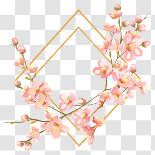 Pink Flowers - Cherry Blossom Floral Frame With Gold Accents Transparent PNG