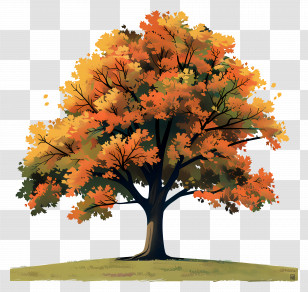 Maple Tree - Autumn Tree With Vibrant Orange Leaves Transparent PNG