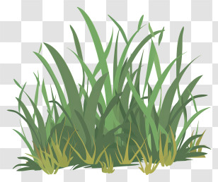 Grass - Vibrant Green Grass Illustration For Nature Themes Transparent PNG