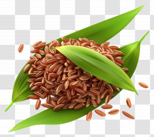 Brown Rice - Brown Rice With Green Leaves Icon Transparent PNG