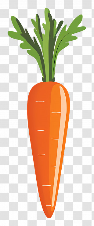 Orange Carrot - Illustration Of Fresh Orange Carrot Transparent PNG