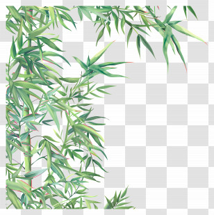 Bamboo Leaf Border - Illustration Of Bamboo Leaves Transparent PNG