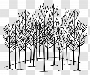 Forest - Bare Trees In Winter Forest Transparent PNG