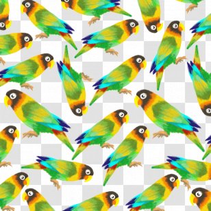 Budgerigar Amazon Parrot Lovebird - Fish - Vector Transparent PNG