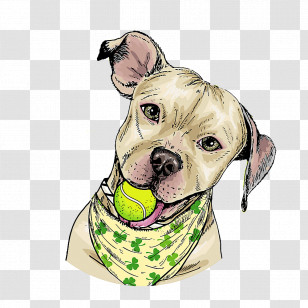 Dog Snout Pit Bull American Pit Bull Terrier Dog Collar Transparent PNG