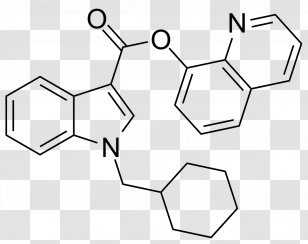 Carboxylic Acid QUCHIC Research Chemical Indole - Black And White - Line Art Transparent PNG