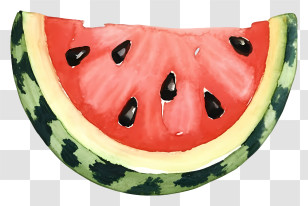 Cartoon - Realistic Watermelon Watercolor Slice Painting Transparent PNG