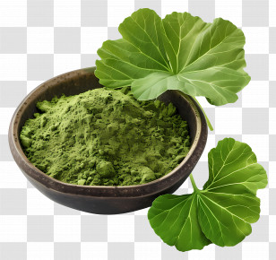 Gotu Kola Powder - Green Herbal Powder With Leaves Transparent PNG