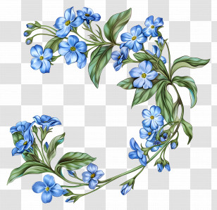 Blue Flowers - Forget-Me-Not Flower Design Transparent PNG