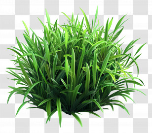 Grass Bush - Lush Green Grass For Landscaping Transparent PNG