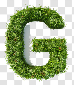 Letter G - Grass Letter G For Eco Concept Transparent PNG