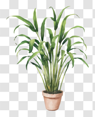 Potted Plant - Green Potted Plant For Home Decor Transparent PNG