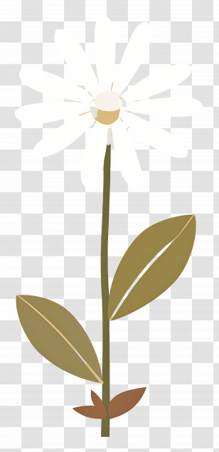Daisy Flower - Minimal Daisy With Simple Design Transparent PNG