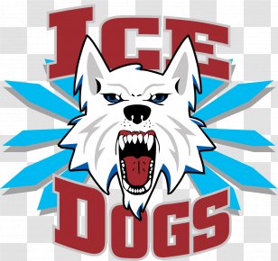 Big Dipper Ice Arena Fairbanks Dogs Junior Hockey Springfield Jr. Blues Topeka RoadRunners - Puck Transparent PNG