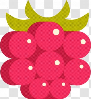 Pink Red Magenta Fruit Circle - Seedless - Grape Transparent PNG