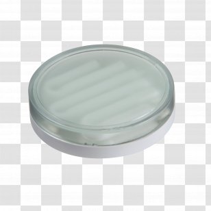 Compact Fluorescent Lamp Kitchen Cabinet Incandescent Light Bulb Cabinetry Energy Saving - Display Case - Lamps Transparent PNG