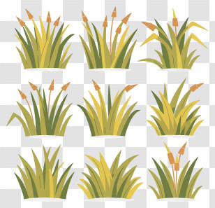 Green Plants - Yellow-Green Grass Clumps Illustration Transparent PNG