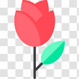 Rose Flower - Red Tulip Flower Icon Transparent PNG