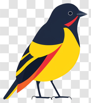 Cartoon Bird - Yellow And Black Cartoon Bird Transparent PNG