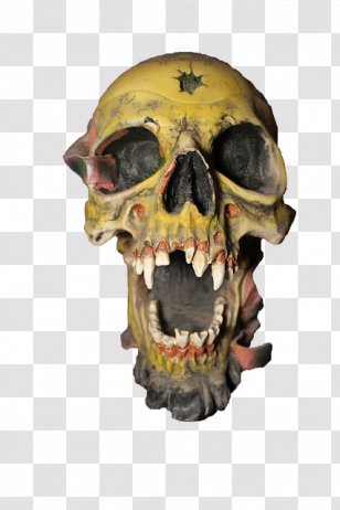 Skull Bone Skeleton Animaatio - Jaw Transparent PNG