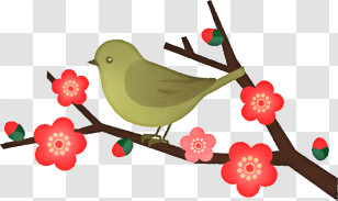 Cartoon - Bird Sitting On A Flowering Branch Illustration Transparent PNG