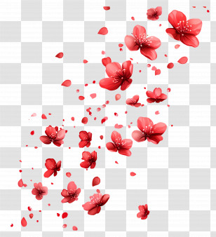 Falling Flowers - Red Flowers With Petals Transparent PNG