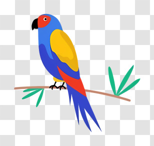 Bird Parrot - Colorful Parrot On Branch Transparent PNG