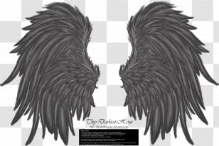 Wings - Deviantart - Monochrome Transparent PNG
