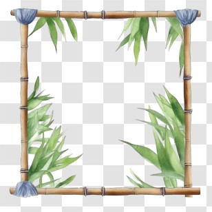 Bamboo
 - Bamboo Frame With Green Tropical Leaves Transparent PNG