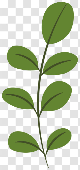 Leaf - Green Plant With Leaves Transparent PNG