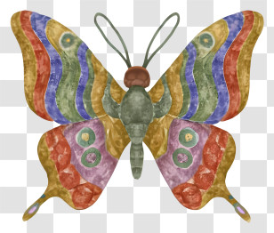 Colorful Butterfly - Colorful Butterfly With Patterned Wings Transparent PNG