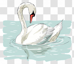 Swimming Swan - Elegant White Swan Swimming In Pond Transparent PNG