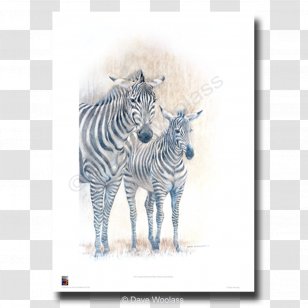 Paper Printing Art GiclÃ©e Printmaking - Quagga - Watercolor Zebra Transparent PNG