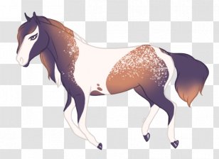Mustang Foal Stallion Colt Mare Transparent PNG