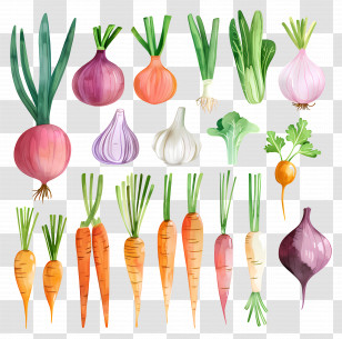 Vegetables - Illustration Of Vegetables And Roots Transparent PNG