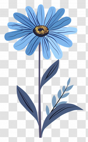 Blue Daisy - Blue Daisy Flower Illustration Transparent PNG