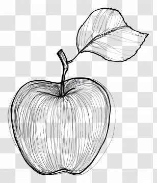 Apple Lineart - Hand-Drawn Apple With Leaf Illustration Transparent PNG