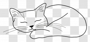 Cat Minimalist - Minimalist Line Art Of Sleeping Cat Transparent PNG
