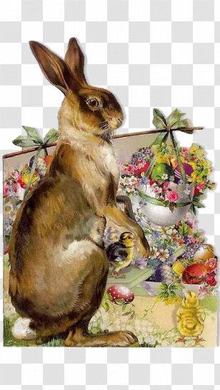 Easter Bunny Mother Rabbit Egg - Hare - Retro Illustration Transparent PNG