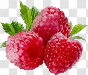 Strawberry - Raspberry - Strawberries Rubus Transparent PNG