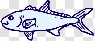 Clip Art Illustration Drawing Line /m/02csf - Marine Mammal - Fish Transparent PNG