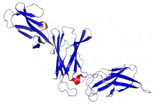 Interleukin 12 Macrophage Immune System Dendritic Cell - Frame - Cartoon Transparent PNG