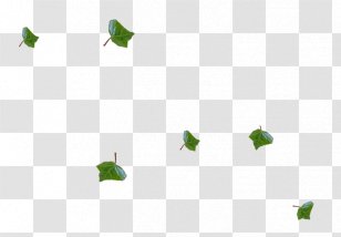 Leaf Green Petal Red - Tree - Plant Transparent PNG