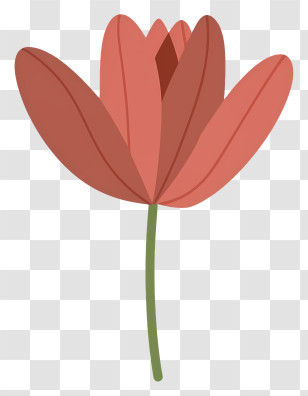 Cartoon - Red Flower With Green Stem Illustration Transparent PNG