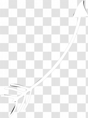 White Feather Line Art Transparent PNG