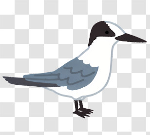 Icon Small Bird White Beak Black Eyes Brown Feathers Transparent PNG